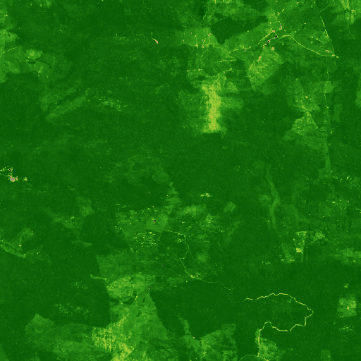 Pará, Brazil NDVI