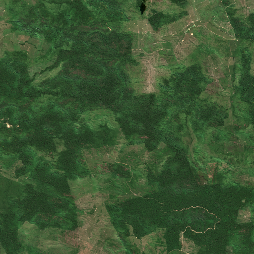 Pará, Brazil 実写